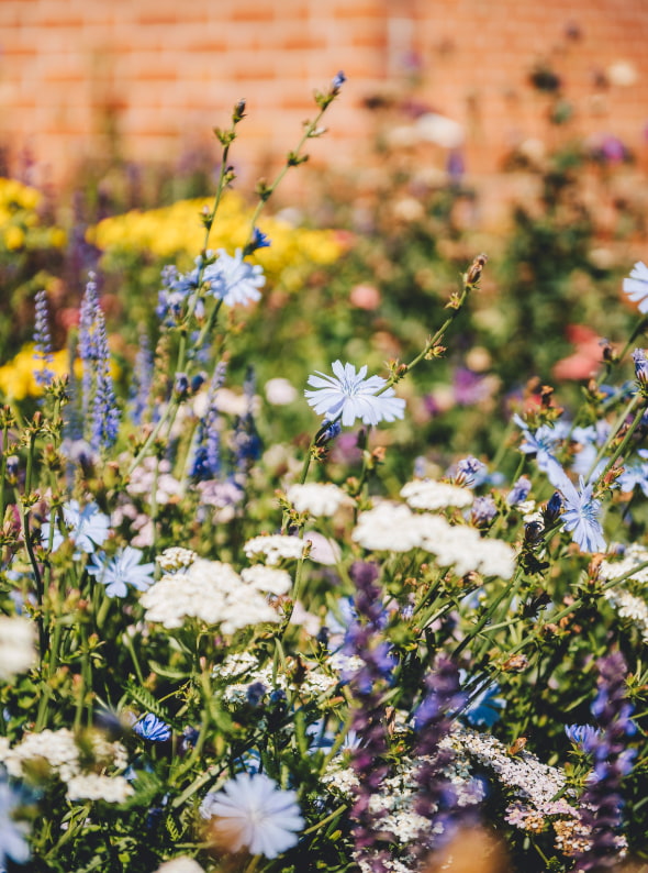 Regulator of Social Housing withdraws SYHA’s Regulatory Judgement