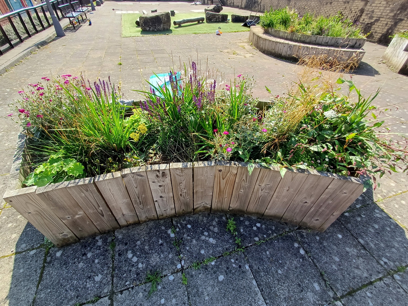 A planter at Cuthbert Bank filled with colourful plants.