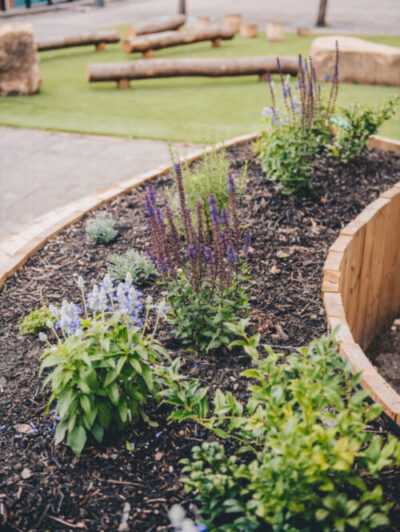 An image of a raised flower bed.